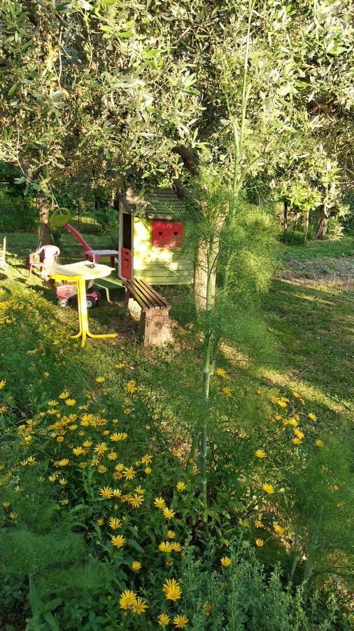 Apartma Marinka Пиран Екстериор снимка